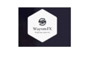 Wayven FX Limited 1 (2)