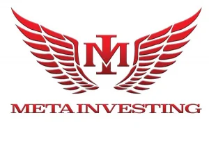 Metainvesting 1 (6)